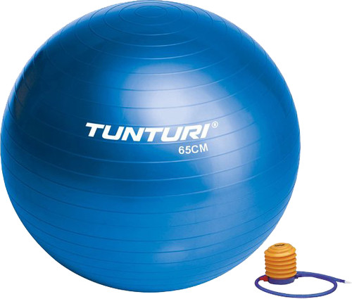 maak het plat Installeren In beweging Tunturi Gymball 65 cm Blue - Coolblue - Voor 23.59u, morgen in huis