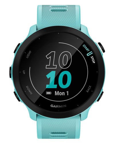 Watch Garmin Forerunner 55 Blue