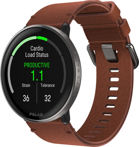 Polar Ignite 3 Titanium/Brown Main Image