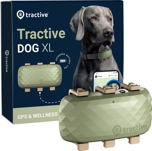 Tractive GPS Tracker Dog XL Green Main Image