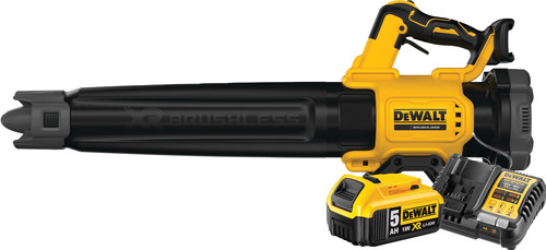 DeWalt 18V XR Axiale 5,0 Ah Accu Starterspakket Main Image