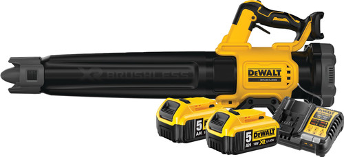 DeWalt 18V XR Axiale 5,0 Ah Accu (2x) Starterspakket Main Image