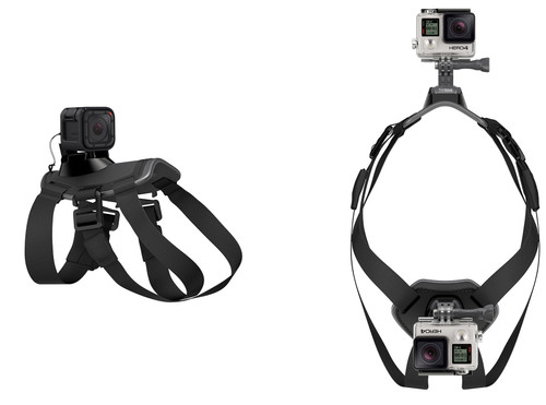 gopro fetch dog harness mount for camera