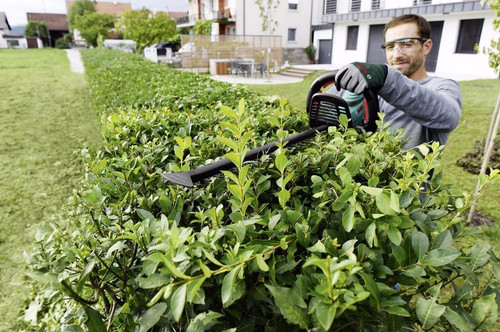 Bosch AHS 50-20 Li (zonder accu) product in gebruik