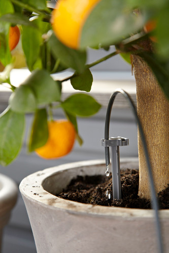 Beginners Gardena Holiday Watering Set Review You Must Look Through