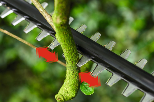 Bosch UniversalHedgePole 18 product in gebruik