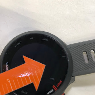 Tweedekans Garmin Forerunner 55 Grijs 