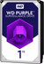 WD Purple 1TB