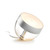 Philips Hue Iris White and Color Special Edition Zilver