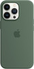 Apple iPhone 13 Pro Back Cover with MagSafe Eucalyptus