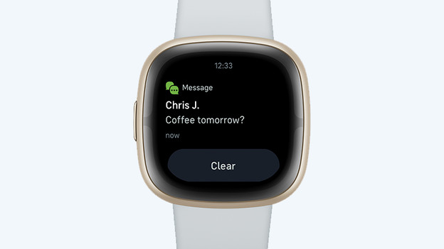 Fitbit Sense 2: waiting for update