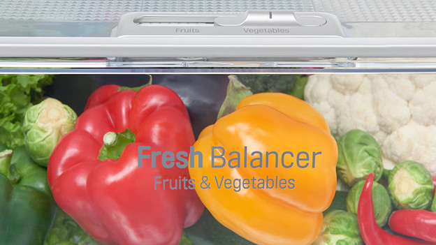 LG Fresh Balancer