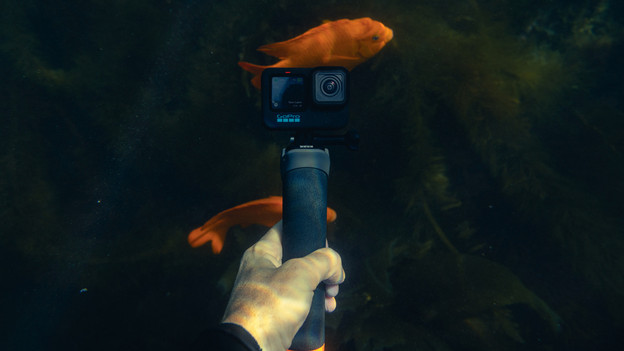 waterproof cameras