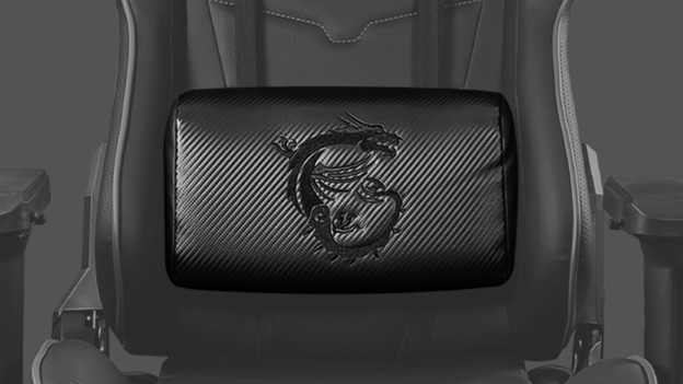 Neck and lumbar support