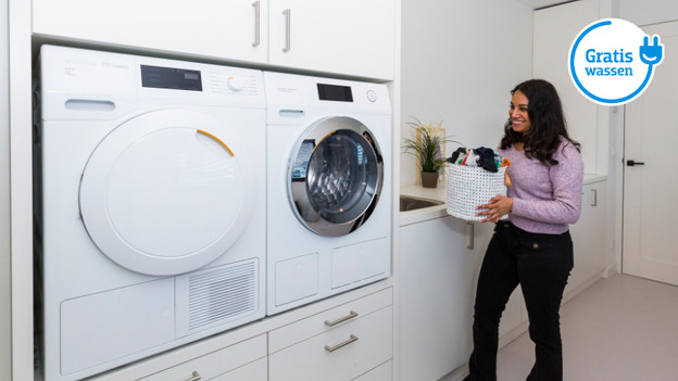 Wat is Gratis Wassen en Drogen?