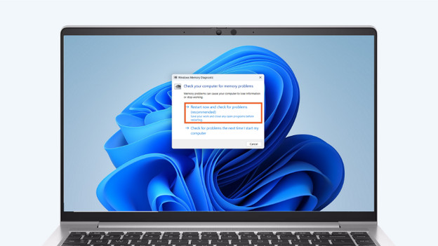 Het geheugen controleren: zoek naar Windows geheugencontrole en klik op Opnieuw opstarten en problemen controleren.