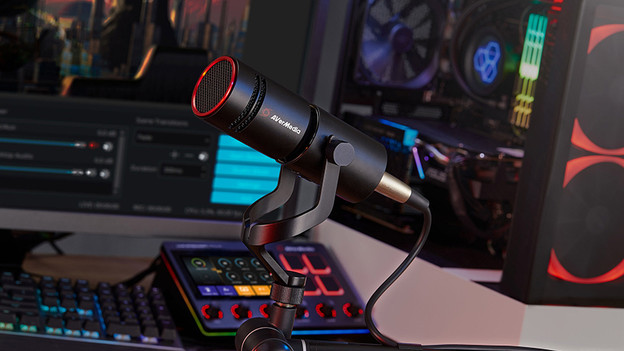 How do you connect a professional microphone?