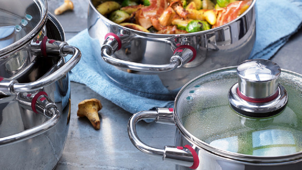 WMF Quality One pans