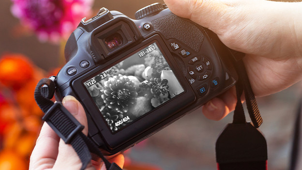 Display black and white