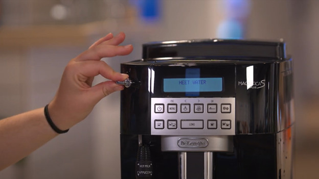 Rinse the steam wand