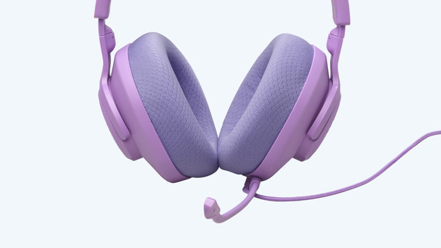 JBL Quantum 100M2: geen batterij 