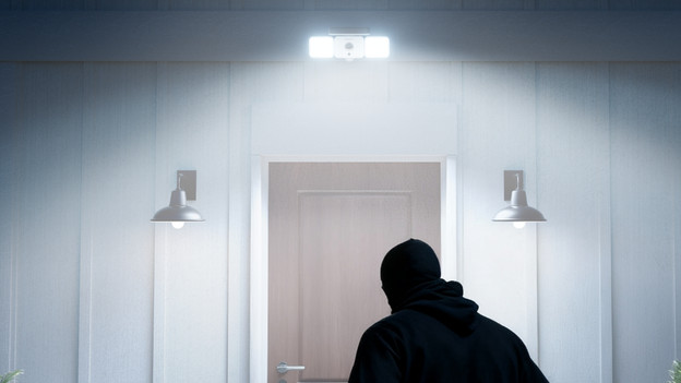 Reolink camera met floodlight