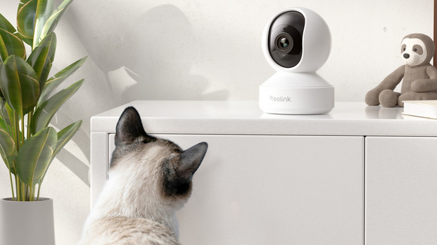 Reolink binnencamera
