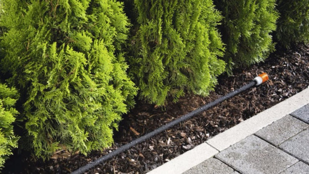 Drip hose: non-extensible