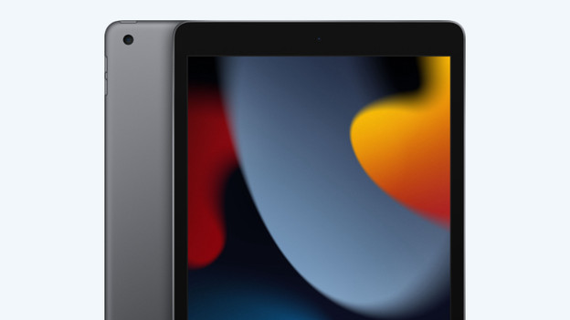 Apple iPad (2021): 10.2 inch Retina scherm met True Tone