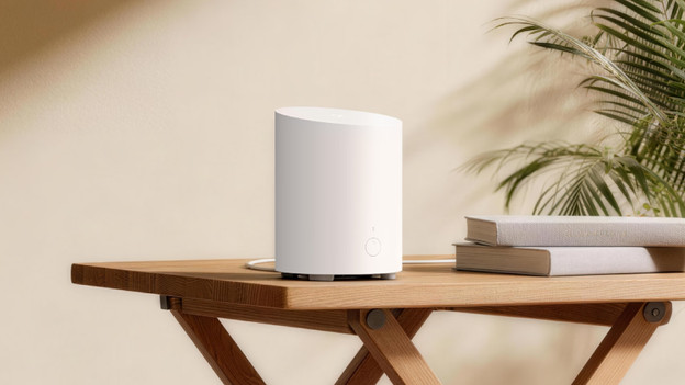 Home Hub 1 Lite: tot 8 apparaten