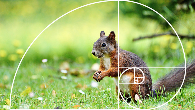 Placement of your subject