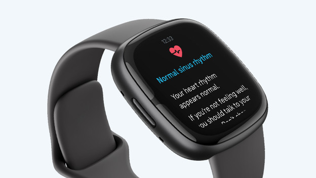 Fitbit Sense 2: continuous stress measurement