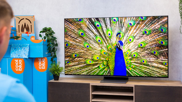 kleurbereik en hoge helderheid van s95b