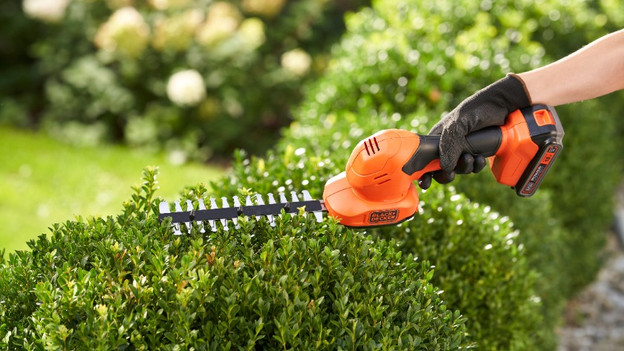Shape a small hedge: handheld hedge trimmer