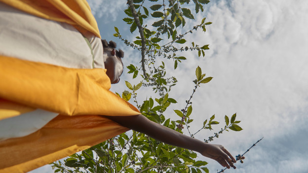 Duurzaam van boon tot kopje