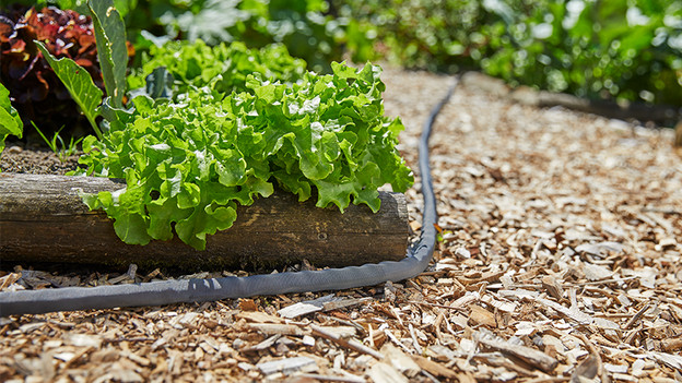 Flexibele tuinslangen: voor tuinen met obstakels