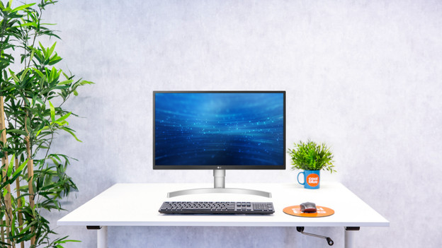 Large: 27 up to 29 inches