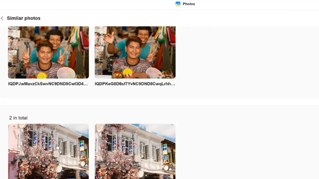 Verwijder dubbele bestanden met AI 