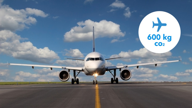 A bespaart de uitstoot van een retourvlucht Rome