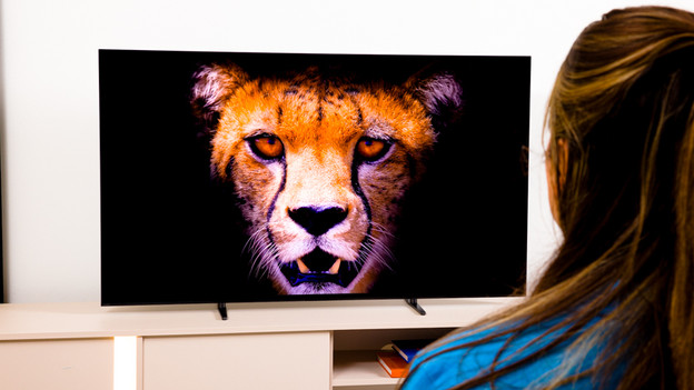 Sony Bravia 8