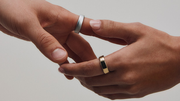 oura ring in het kort