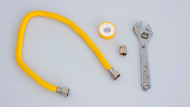 Stainless steel gas hose