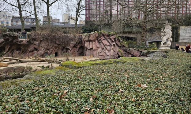 S23 Ultra standard lens