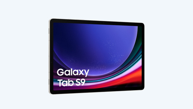 Tab S9: 8 en 12 GB werkgeheugen