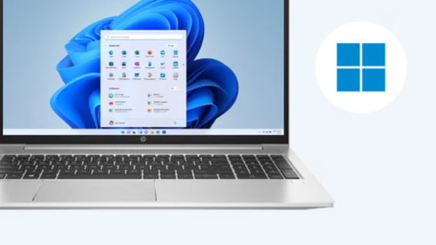 Stap 2b: Windows versie downloaden