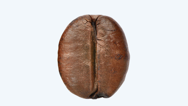 Robusta: rond en kleiner