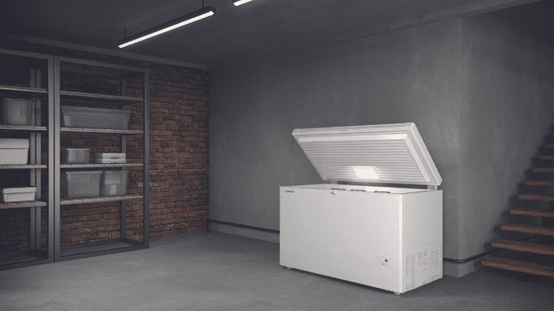 Chest freezer in the basement