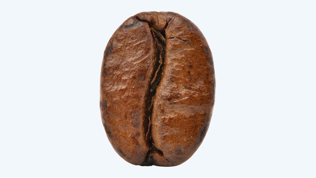 Arabica: ovaal en groot