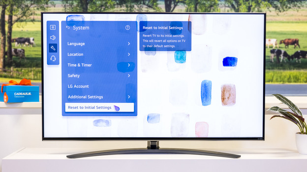 Reset to Initial Settings