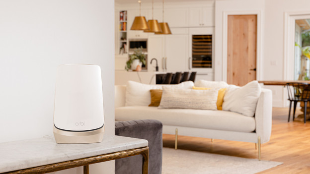 Set up a fixed IP address on your Netgear router